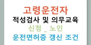 고령운전자 적성검사 및 의무교육 신청 | 노인 운전면허증 갱신 조건