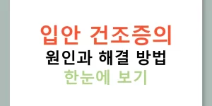 입안 건조증의 원인과 해결 방법 한눈에 보기