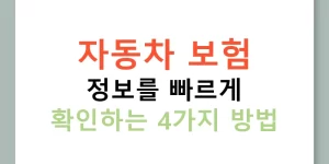 자동차 보험 정보를 빠르게 확인하는 4가지 방법