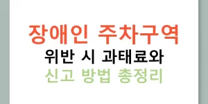 장애인 주차구역 위반 시 과태료와 신고 방법 총정리