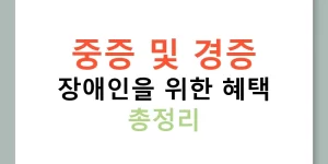 중증 및 경증 장애인을 위한 혜택 총정리