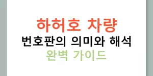 하허호 차량 번호판의 의미와 해석 완벽 가이드