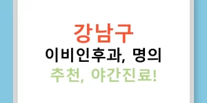 강남구 이비인후과, 명의 추천, 야간진료!