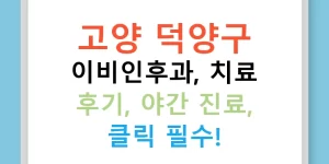 고양 덕양구 이비인후과, 치료 후기, 야간 진료, 클릭 필수!