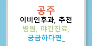 공주 이비인후과, 추천 병원, 야간진료, 궁금하다면?