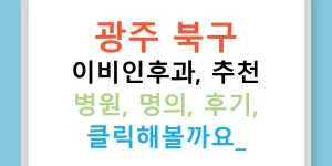광주 북구 이비인후과, 추천 병원, 명의, 후기, 클릭해볼까요?