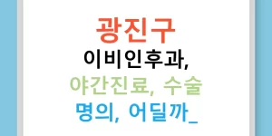 광진구 이비인후과, 야간진료, 수술 명의, 어딜까?