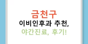 금천구 이비인후과 추천, 야간진료, 후기!