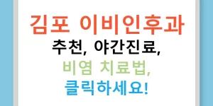 김포 이비인후과 추천, 야간진료, 비염 치료법, 클릭하세요!