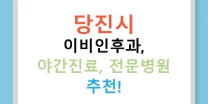 당진시 이비인후과, 야간진료, 전문병원 추천!