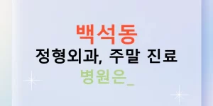 백석동 정형외과, 주말 진료 병원은?