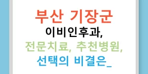 부산 기장군 이비인후과, 전문치료, 추천병원, 선택의 비결은?