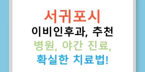 서귀포시 이비인후과, 추천 병원, 야간 진료, 확실한 치료법!