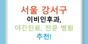 서울 강서구 이비인후과, 야간진료, 전문 병원 추천!