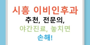 시흥 이비인후과 추천, 전문의, 야간진료, 놓치면 손해!