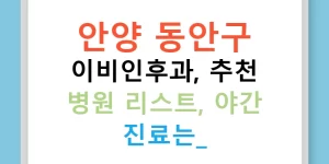 안양 동안구 이비인후과, 추천 병원 리스트, 야간 진료는?