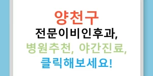 양천구 전문이비인후과, 병원추천, 야간진료, 클릭해보세요!