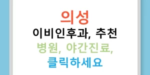 의성 이비인후과, 추천 병원, 야간진료, 클릭하세요