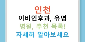 인천 이비인후과, 유명 병원, 추천 목록! 자세히 알아보세요