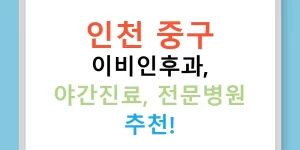 인천 중구 이비인후과, 야간진료, 전문병원 추천!