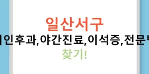 일산서구 이비인후과,야간진료,이석증,전문병원 찾기!