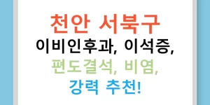천안 서북구 이비인후과, 이석증, 편도결석, 비염, 강력 추천!