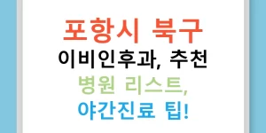 포항시 북구 이비인후과, 추천 병원 리스트, 야간진료 팁!