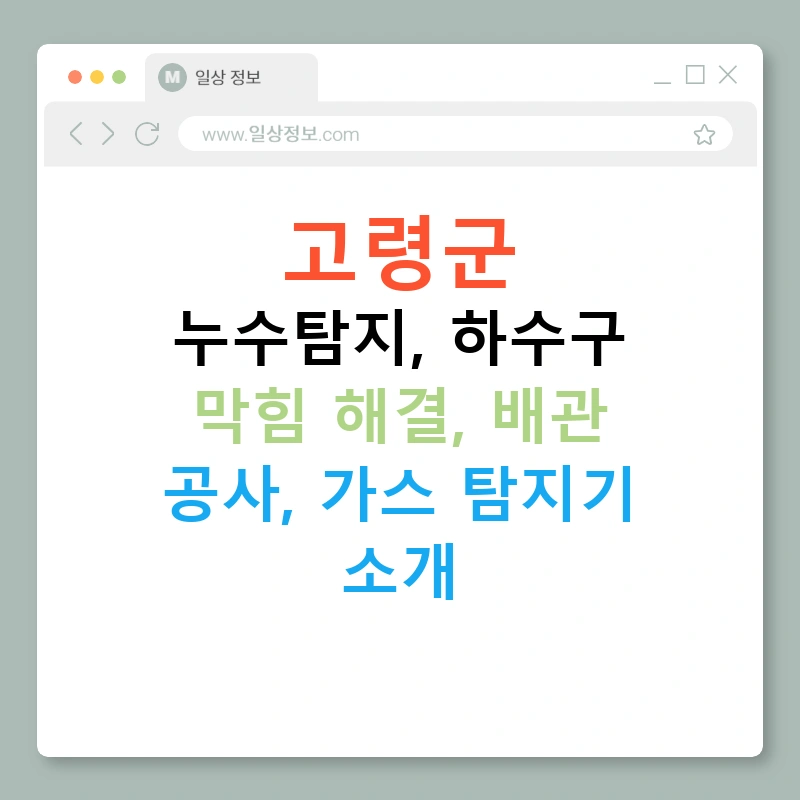 고령군 누수탐지, 하수구 막힘 해결, 배관 공사, 가스 탐지기 소개
