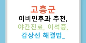 고흥군 이비인후과 추천, 야간진료, 이석증, 갑상선 해결법!