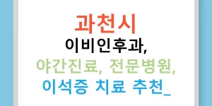과천시 이비인후과, 야간진료, 전문병원, 이석증 치료 추천!