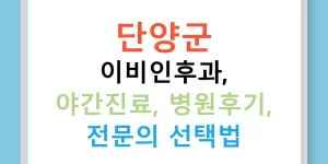 단양군 이비인후과, 야간진료, 병원후기, 전문의 선택법