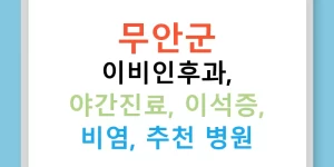 무안군 이비인후과, 야간진료, 이석증, 비염, 추천 병원