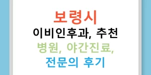 보령시 이비인후과, 추천 병원, 야간진료, 전문의 후기