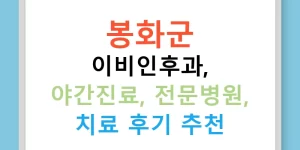 봉화군 이비인후과, 야간진료, 전문병원, 치료 후기 추천