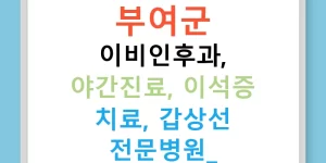 부여군 이비인후과, 야간진료, 이석증 치료, 갑상선 전문병원!