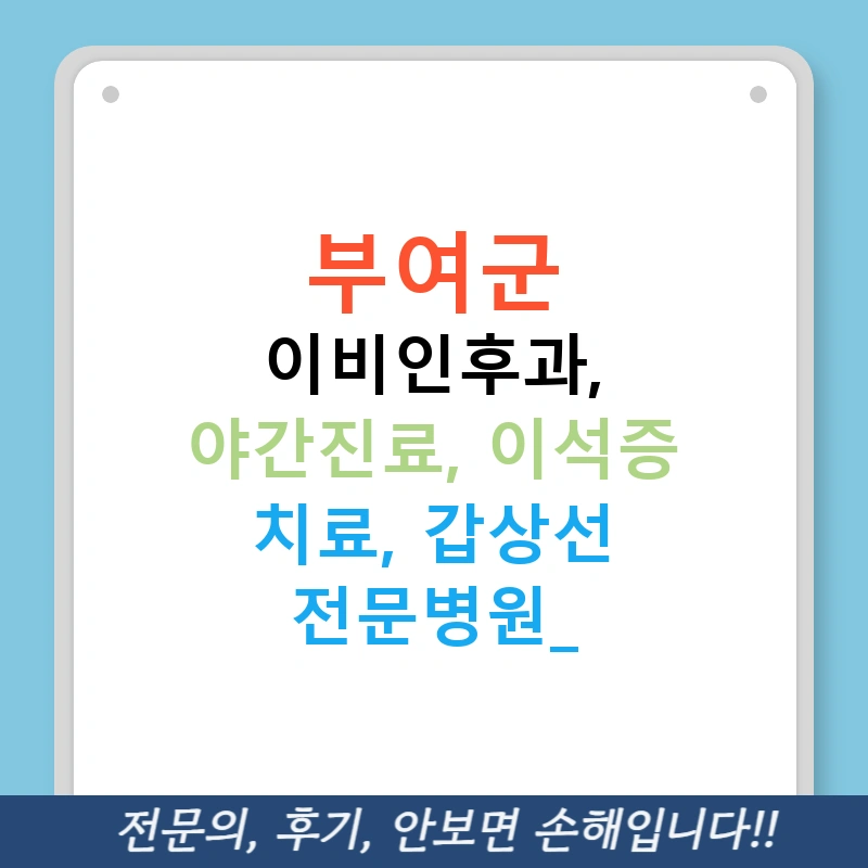 부여군 이비인후과, 야간진료, 이석증 치료, 갑상선 전문병원!