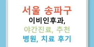 서울 송파구 이비인후과, 야간진료, 추천 병원, 치료 후기