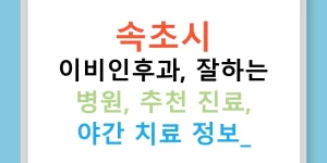 속초시 이비인후과, 잘하는 병원, 추천 진료, 야간 치료 정보!