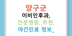 양구군 이비인후과, 전문병원, 추천, 야간진료 정보!