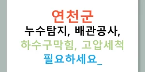연천군 누수탐지, 배관공사, 하수구막힘, 고압세척 필요하세요?
