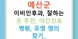 예산군 이비인후과, 잘하는 곳 추천, 야간진료 병원, 유명 명의 찾기!