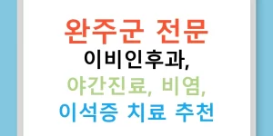 완주군 전문 이비인후과, 야간진료, 비염, 이석증 치료 추천