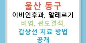 울산 동구 이비인후과, 알레르기 비염, 편도결석, 갑상선 치료 방법 공개