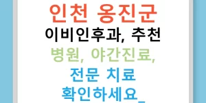 인천 옹진군 이비인후과, 추천 병원, 야간진료, 전문 치료 확인하세요!