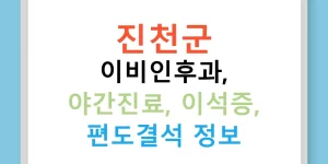진천군 이비인후과, 야간진료, 이석증, 편도결석 정보