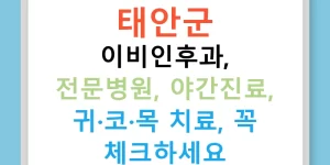 태안군 이비인후과, 전문병원, 야간진료, 귀·코·목 치료, 꼭 체크하세요