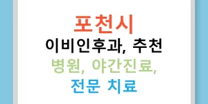 포천시 이비인후과, 추천 병원, 야간진료, 전문 치료