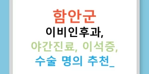 함안군 이비인후과, 야간진료, 이석증, 수술 명의 추천!