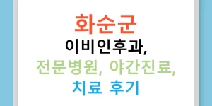 화순군 이비인후과, 전문병원, 야간진료, 치료 후기
