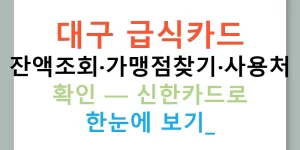 대구 급식카드 잔액조회·가맹점찾기·사용처 확인 — 신한카드로 한눈에 보기!